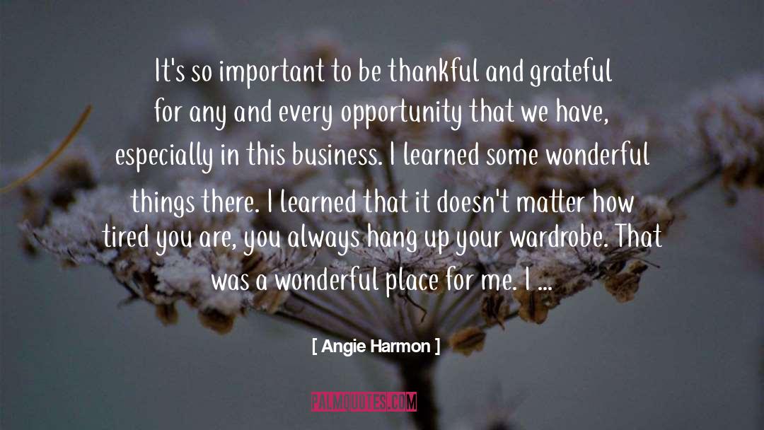 Be Grateful For Your Life quotes by Angie Harmon