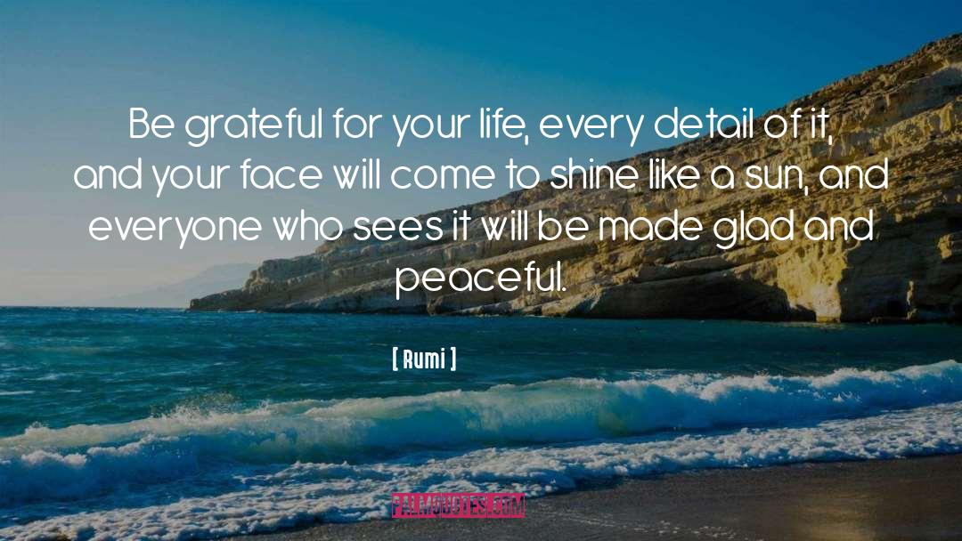 Be Grateful For Your Life quotes by Rumi