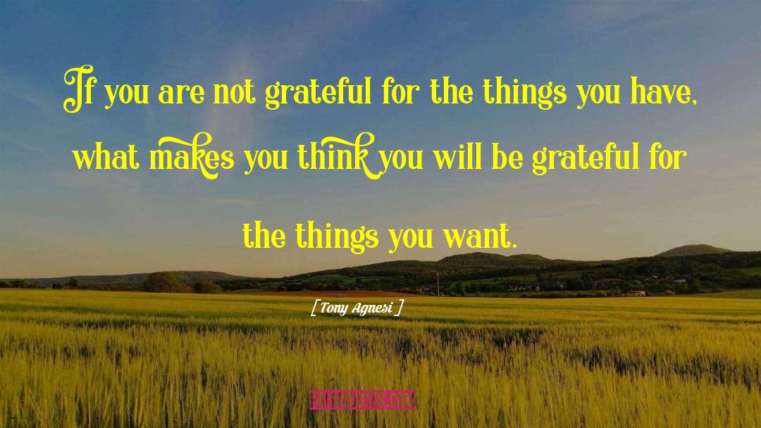 Be Grateful quotes by Tony Agnesi