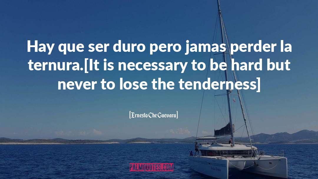 Be Hard quotes by Ernesto Che Guevara