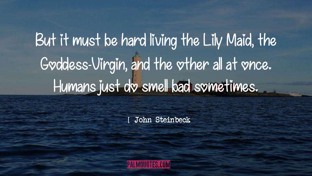 Be Hard quotes by John Steinbeck