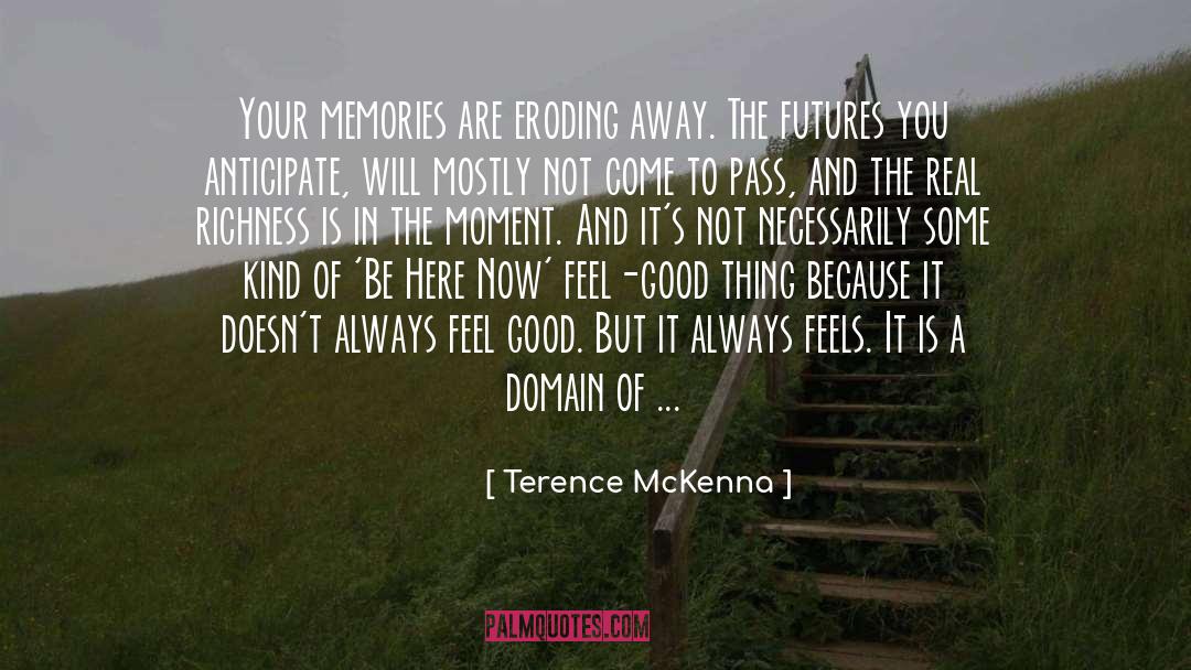 Be Here Now quotes by Terence McKenna