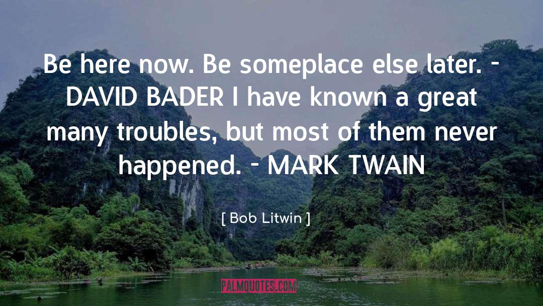 Be Here Now quotes by Bob Litwin