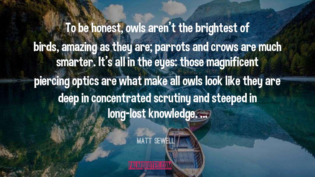 Be Honest quotes by Matt Sewell