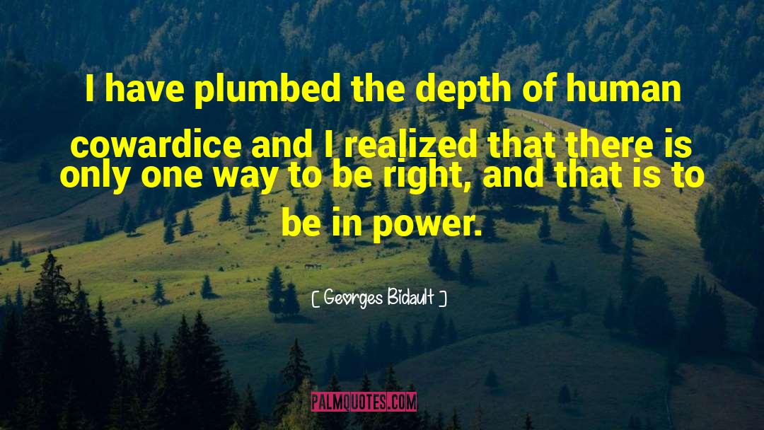 Be In Power quotes by Georges Bidault