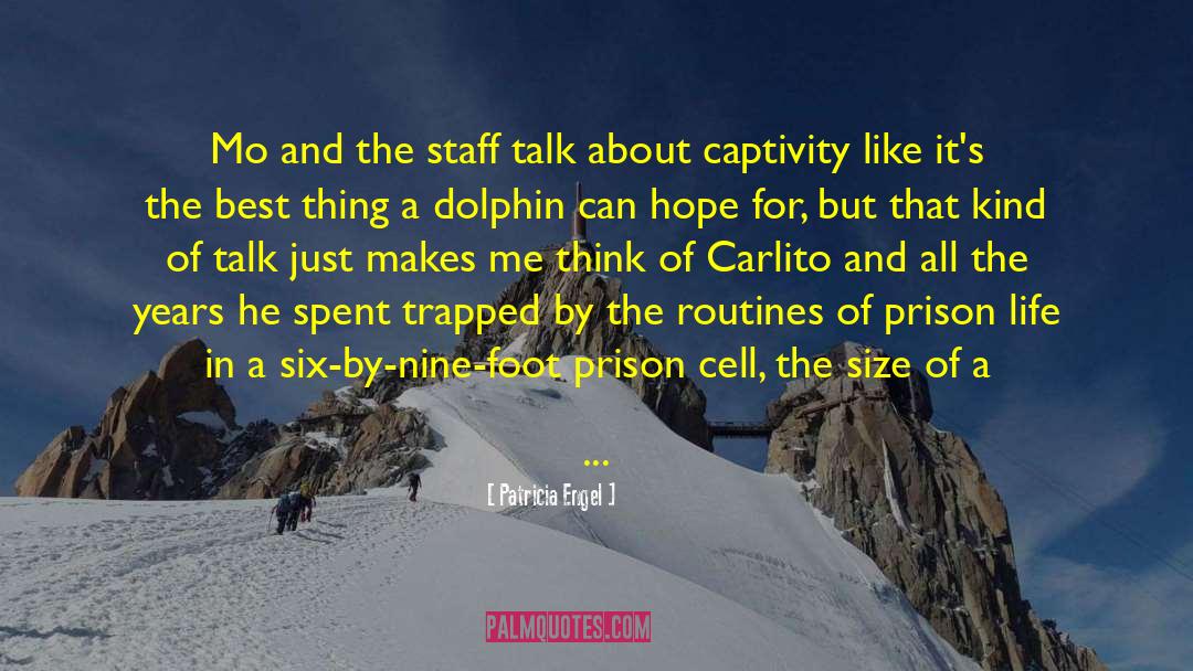 Be Like A Dolphin quotes by Patricia Engel