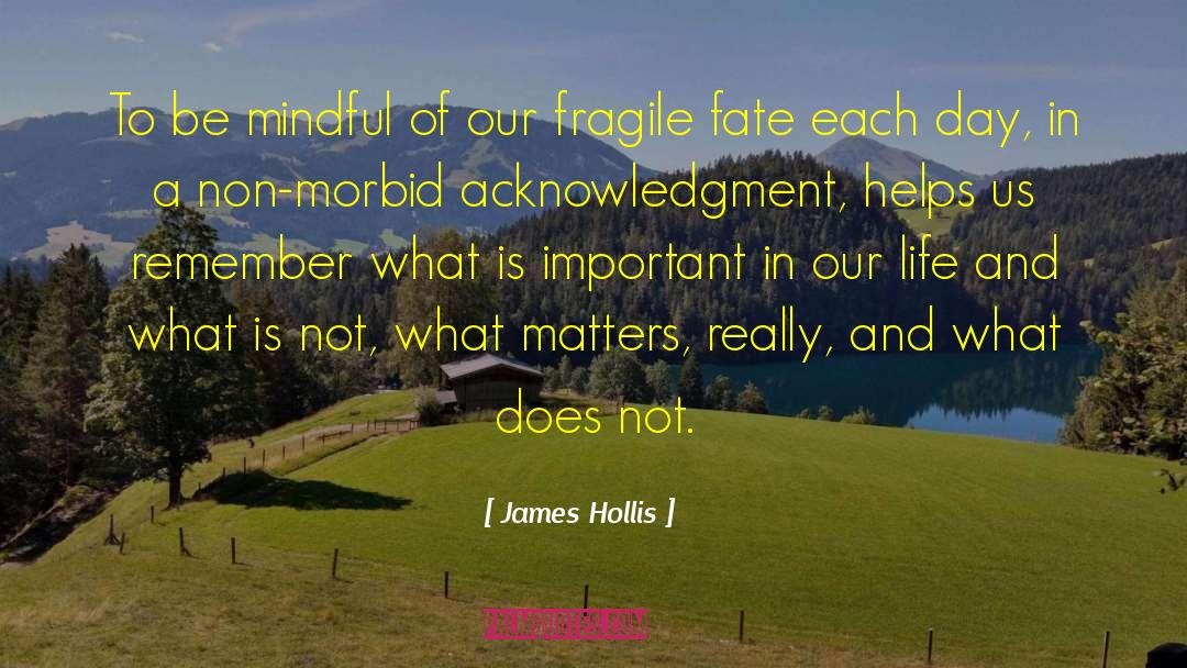 Be Mindful quotes by James Hollis