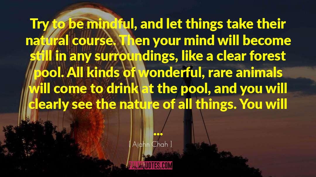Be Mindful quotes by Ajahn Chah