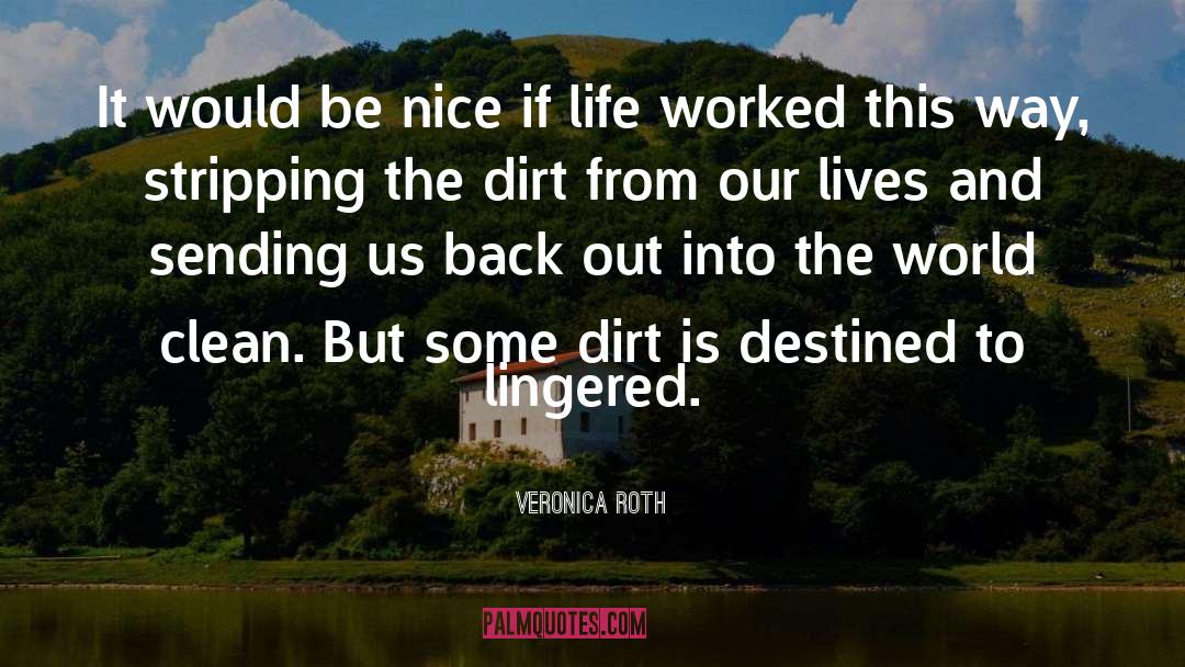 Be Nice quotes by Veronica Roth