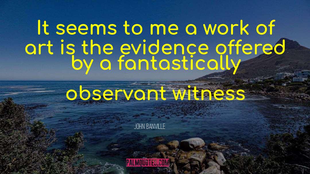 Be Observant quotes by John Banville