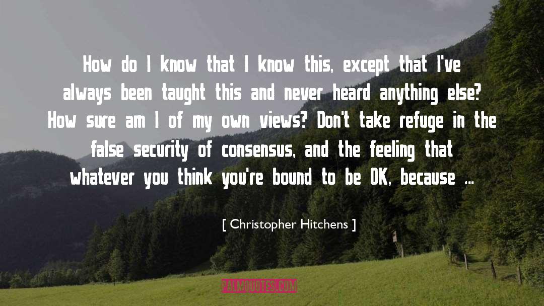 Be Ok quotes by Christopher Hitchens