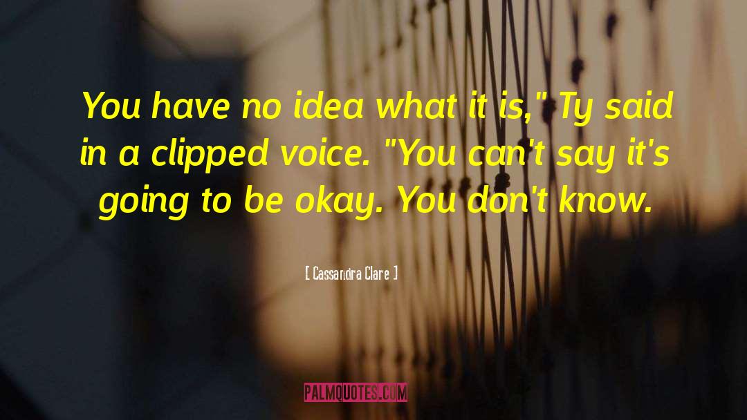 Be Okay quotes by Cassandra Clare