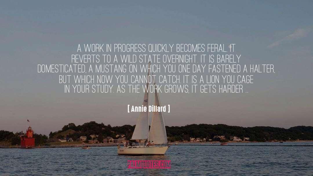 Be Over It quotes by Annie Dillard