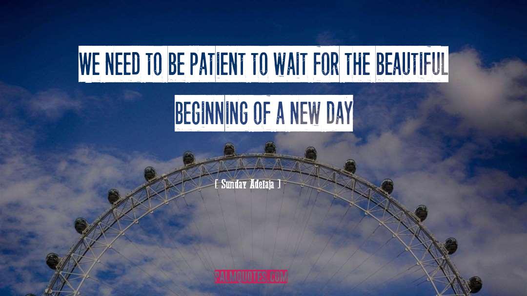 Be Patient quotes by Sunday Adelaja