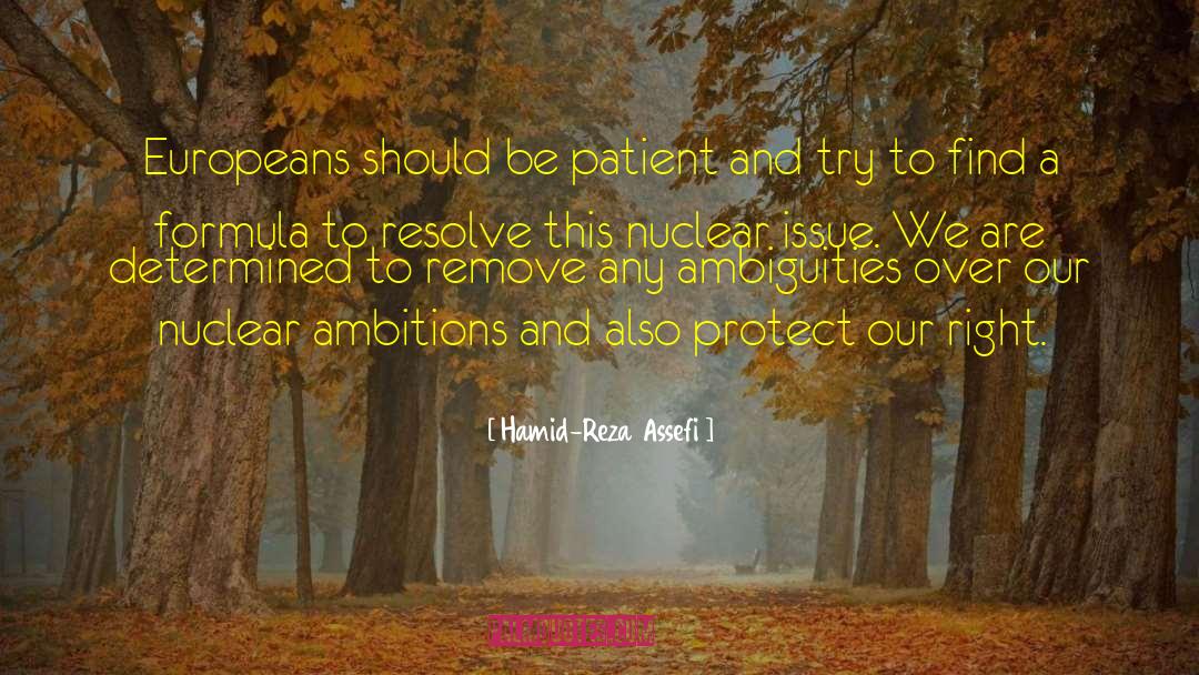 Be Patient quotes by Hamid-Reza Assefi