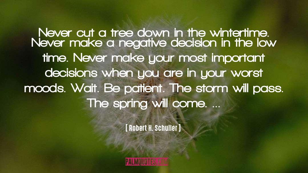 Be Patient quotes by Robert H. Schuller