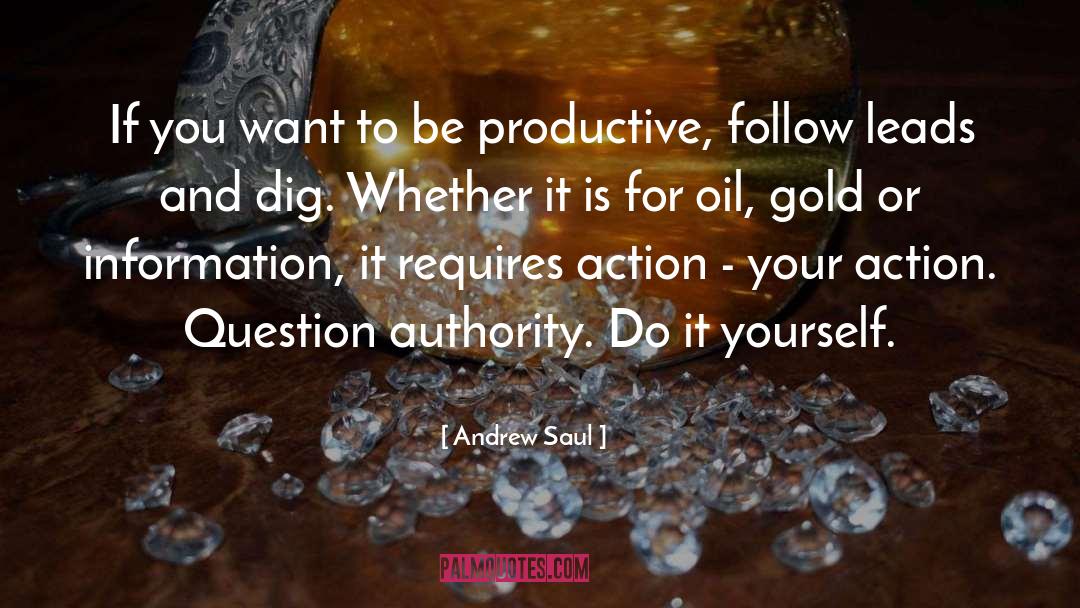 Be Productive quotes by Andrew Saul