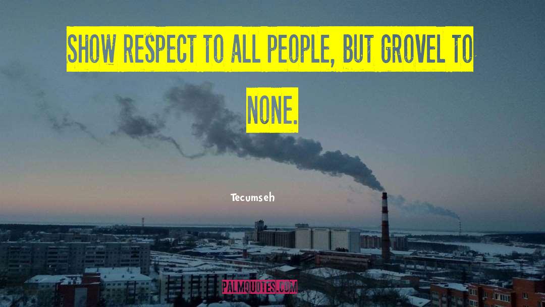 Be Respectful quotes by Tecumseh