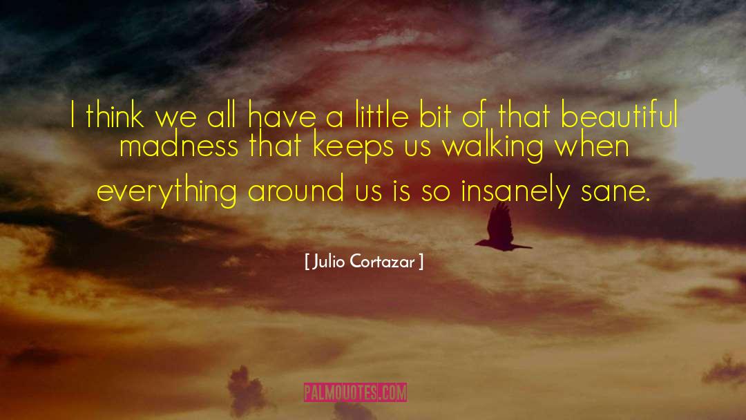 Be Sane quotes by Julio Cortazar