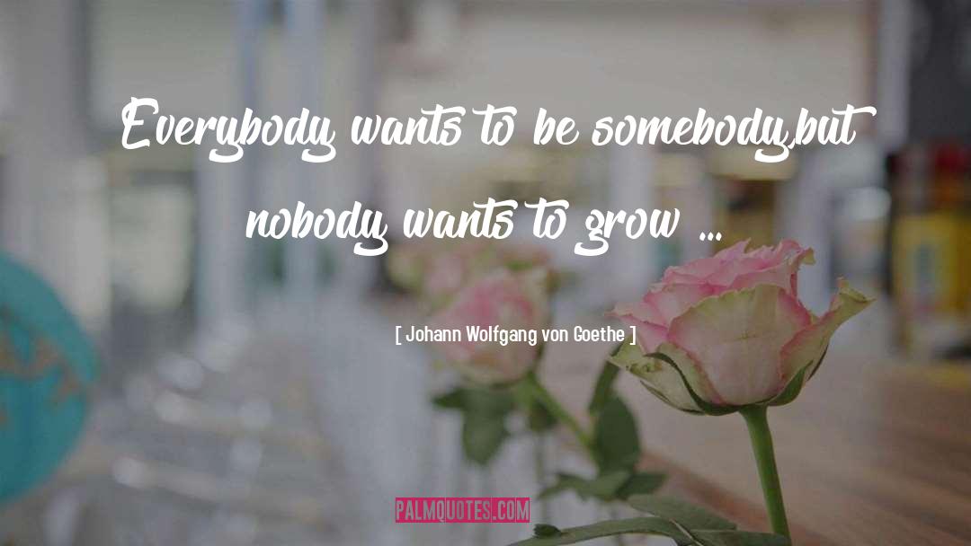 Be Somebody quotes by Johann Wolfgang Von Goethe