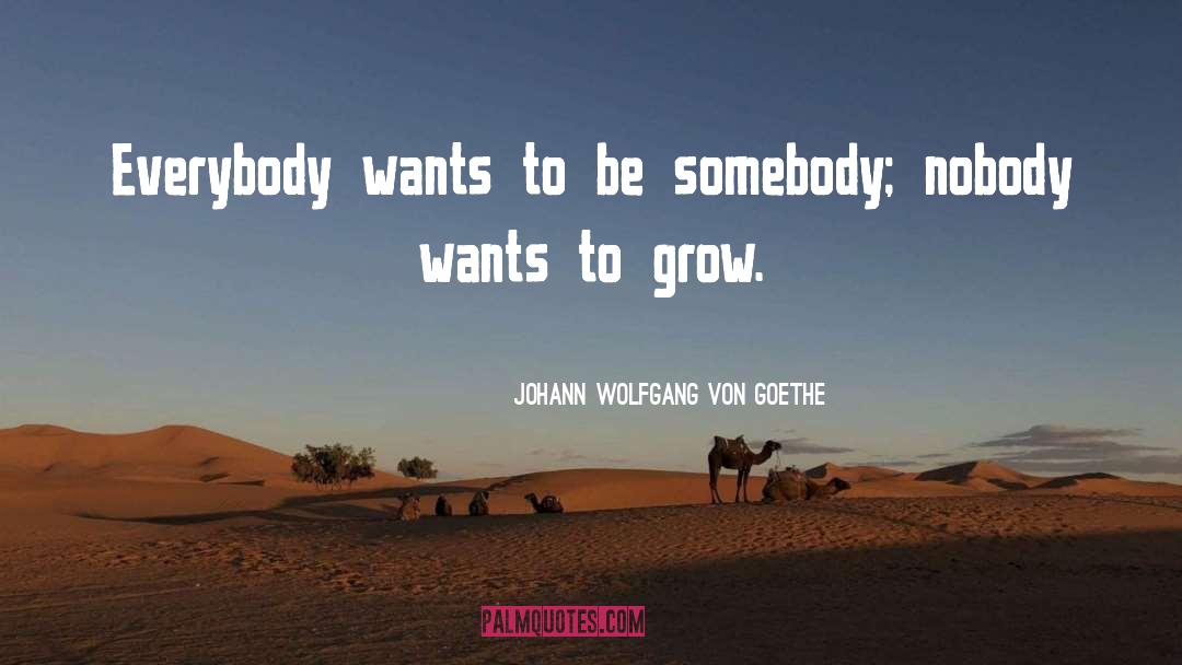 Be Somebody quotes by Johann Wolfgang Von Goethe