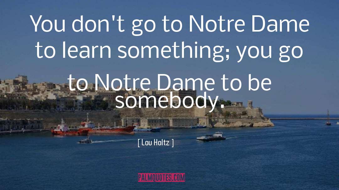 Be Somebody quotes by Lou Holtz