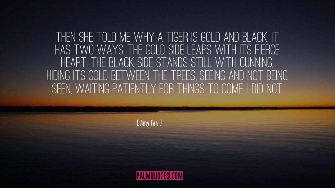 Be Still My Heart quotes by Amy Tan