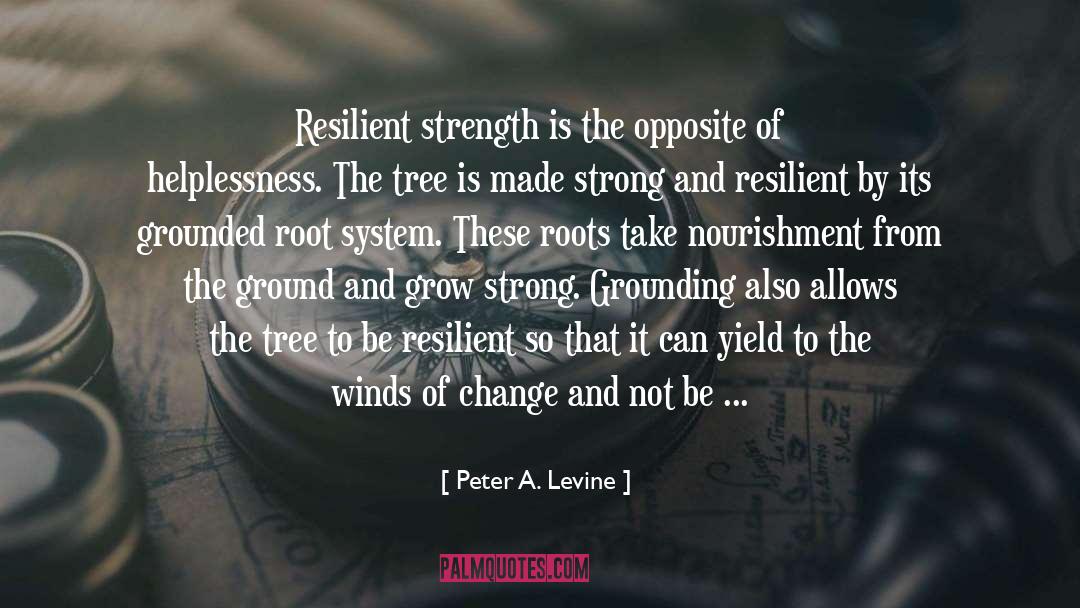 Be Strong And Courageous quotes by Peter A. Levine