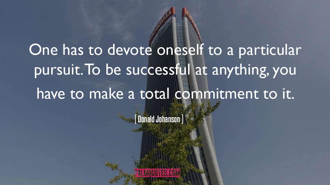 Be Successful quotes by Donald Johanson