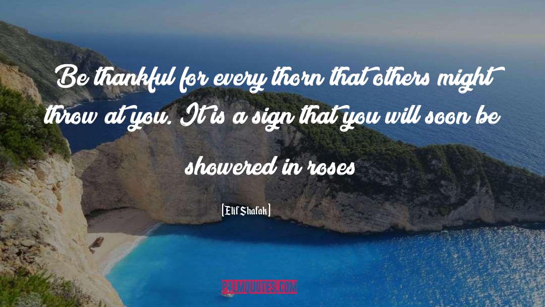 Be Thankful quotes by Elif Shafak