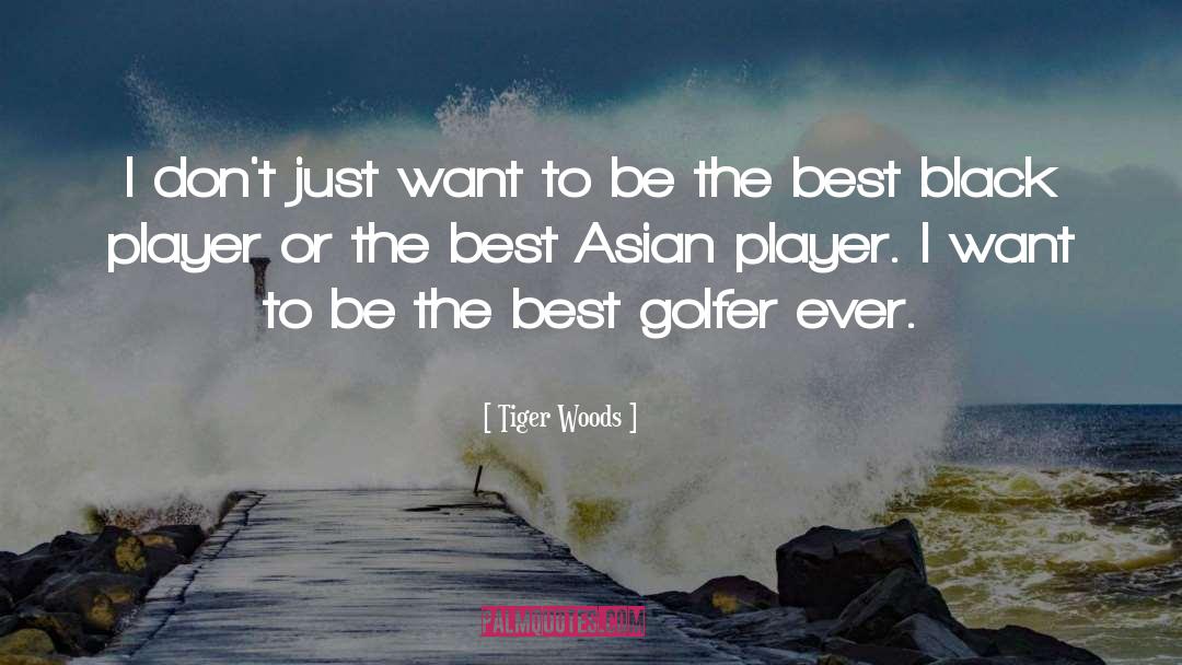 Be The Best quotes by Tiger Woods