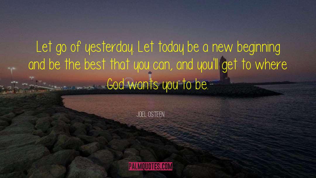 Be The Best That You Can quotes by Joel Osteen