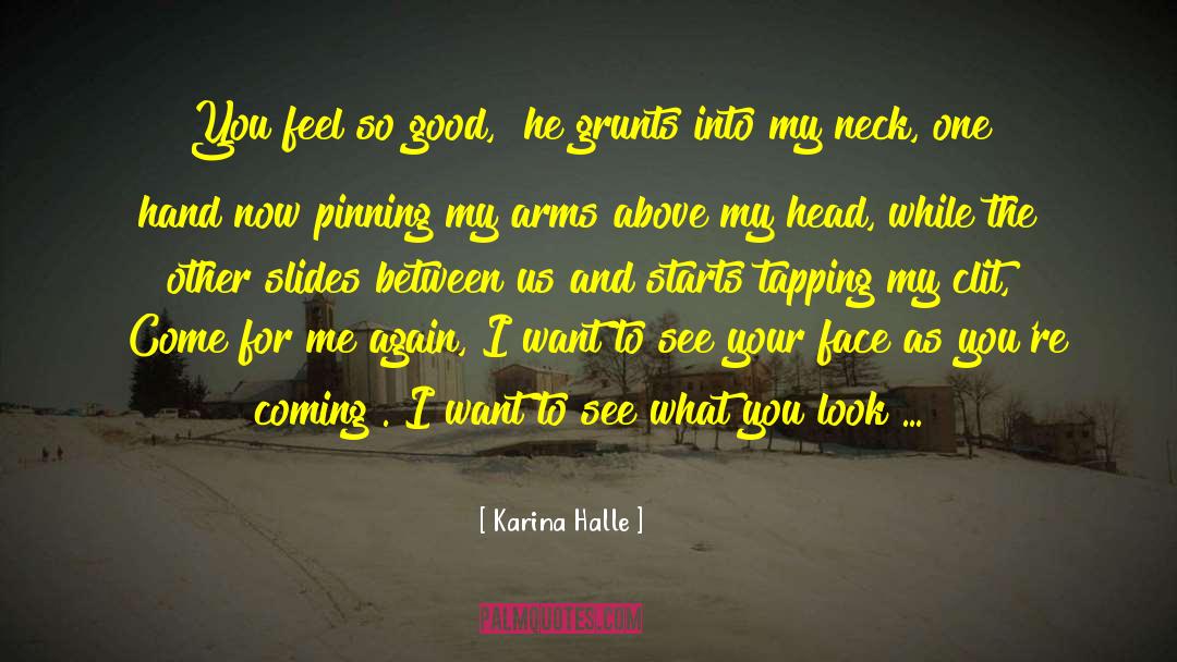 Be The Death Of Me quotes by Karina Halle