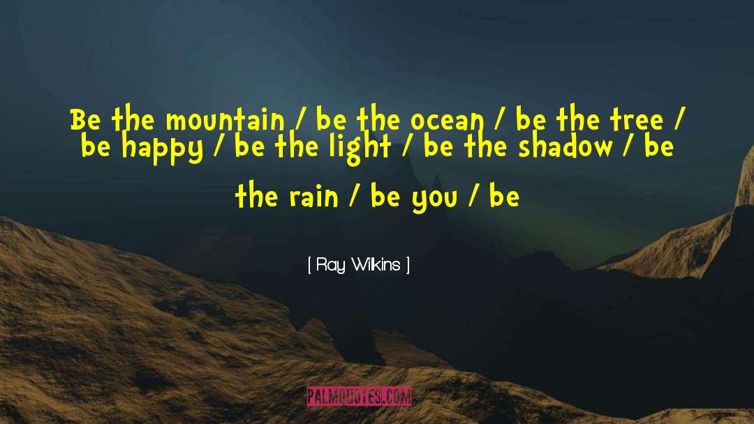Be The Light quotes by Ray Wilkins