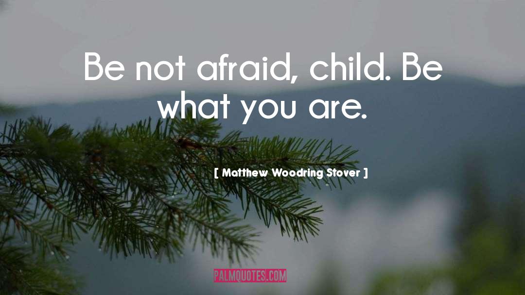 Be What You Are quotes by Matthew Woodring Stover