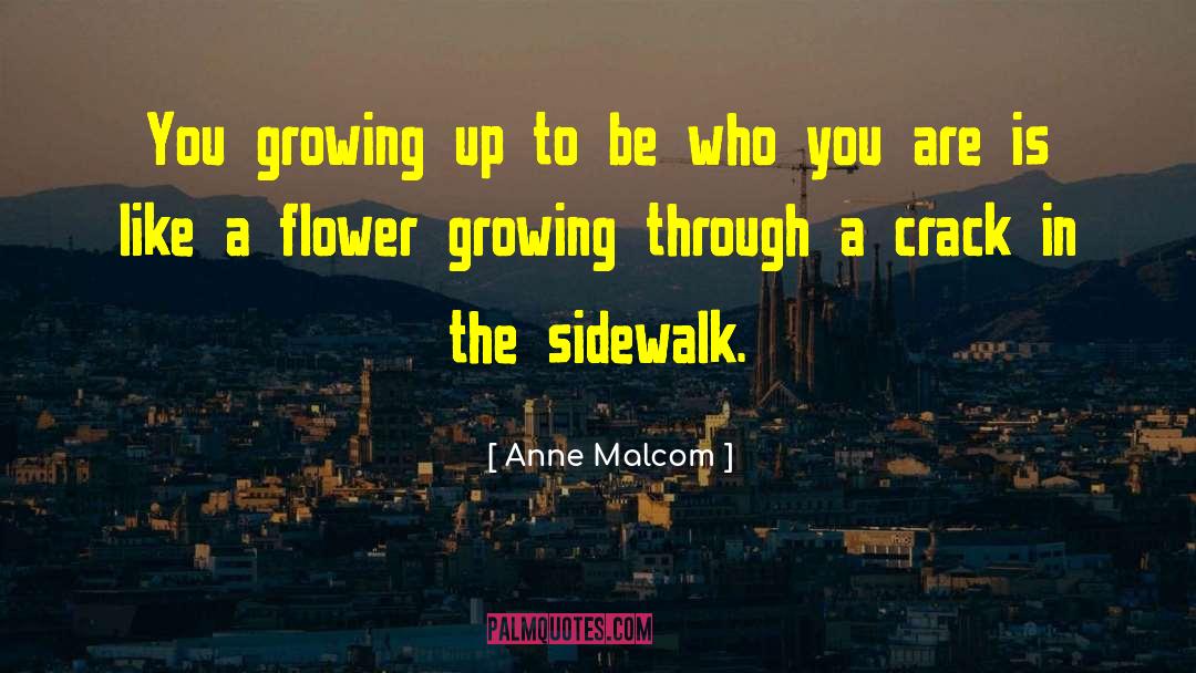 Be Who You Are quotes by Anne Malcom