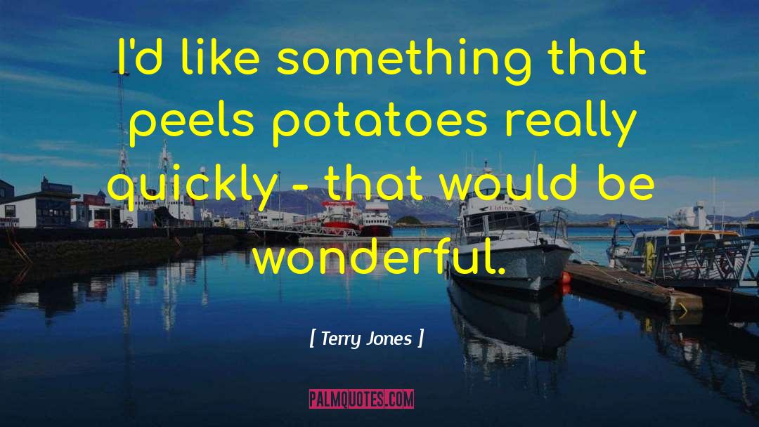 Be Wonderful quotes by Terry Jones