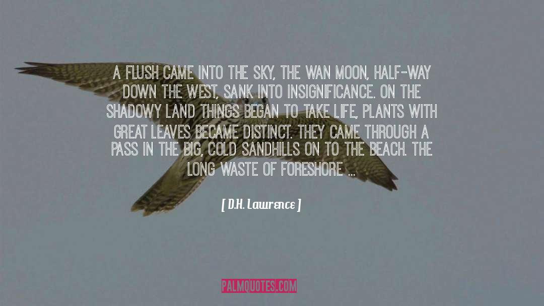 Beach And Beer quotes by D.H. Lawrence