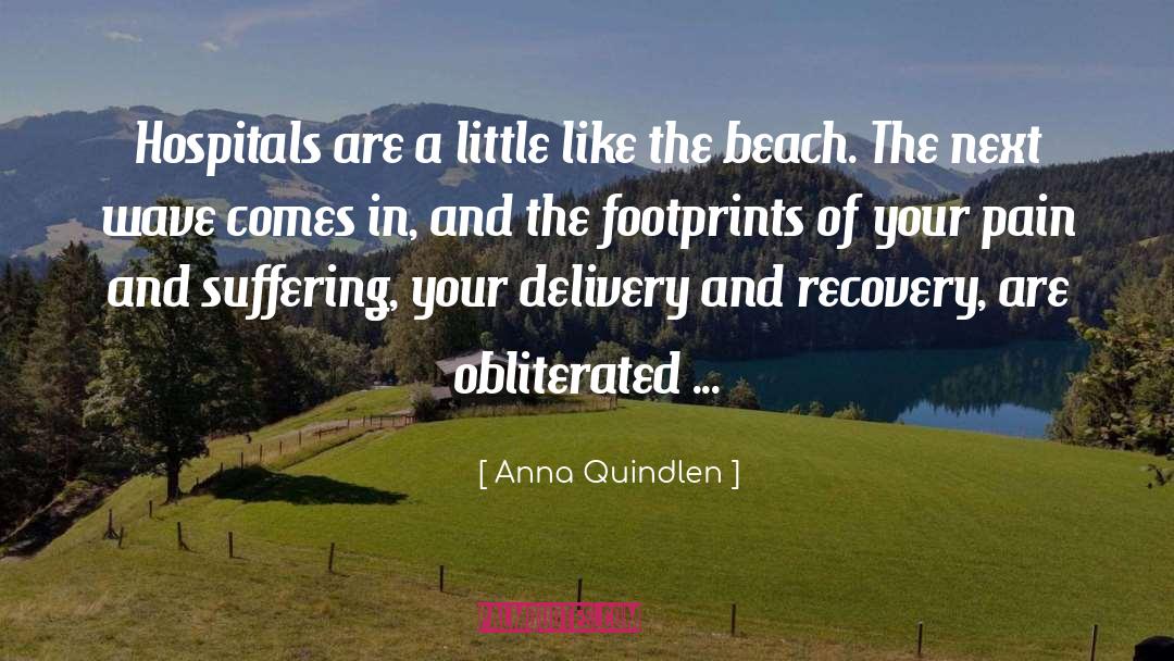 Beach And Beer quotes by Anna Quindlen