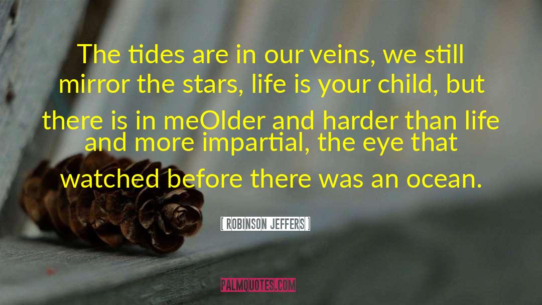 Beach And Ocean quotes by Robinson Jeffers