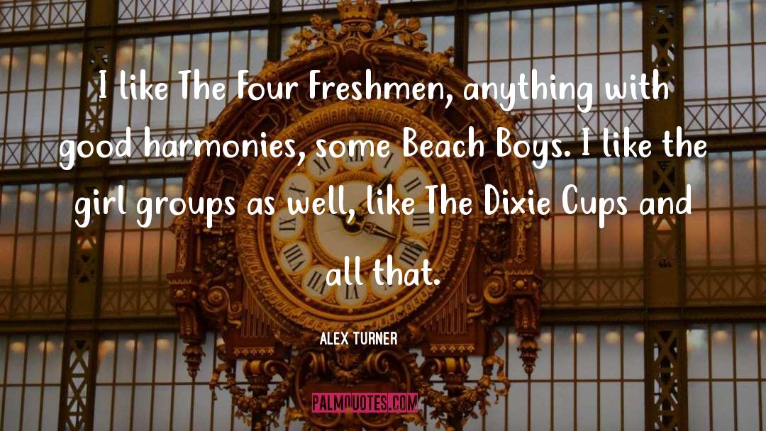 Beach Boys quotes by Alex Turner