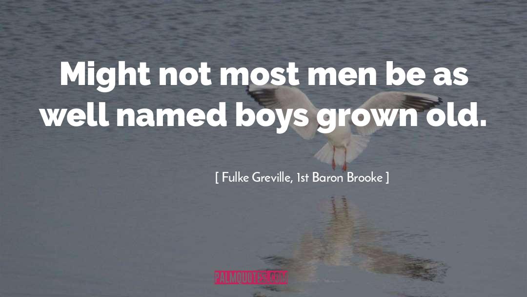 Beach Boys quotes by Fulke Greville, 1st Baron Brooke