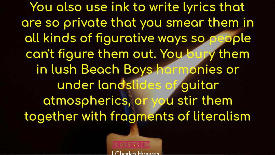 Beach Boys quotes by Charles Homans