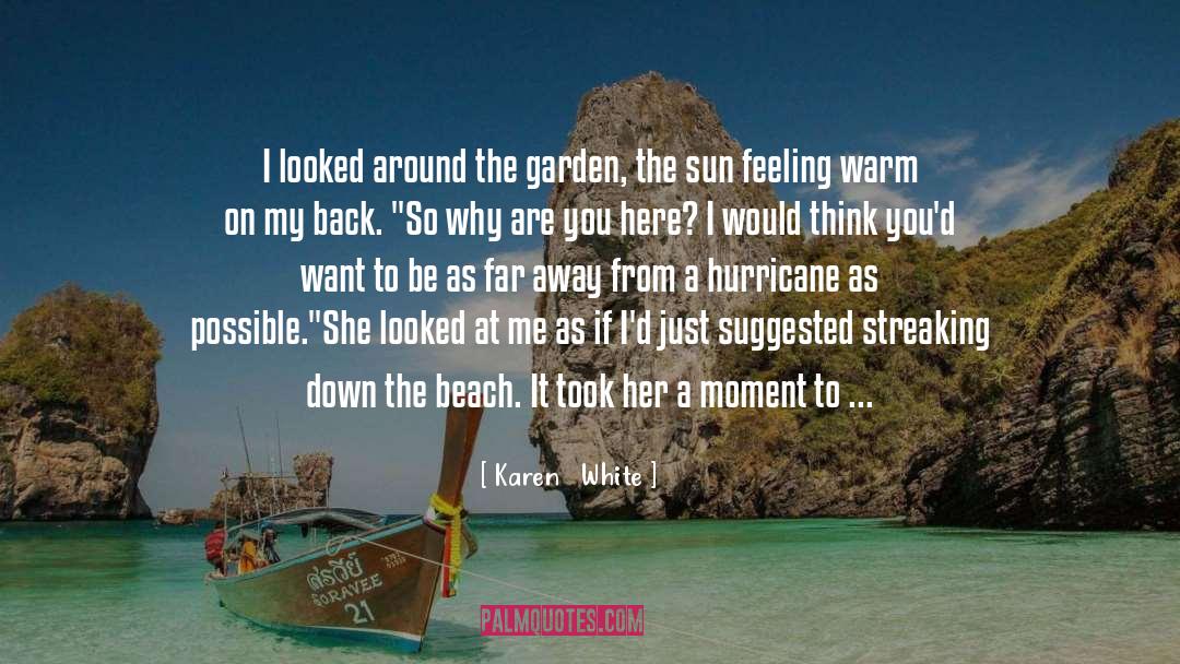 Beach Bunnies quotes by Karen   White