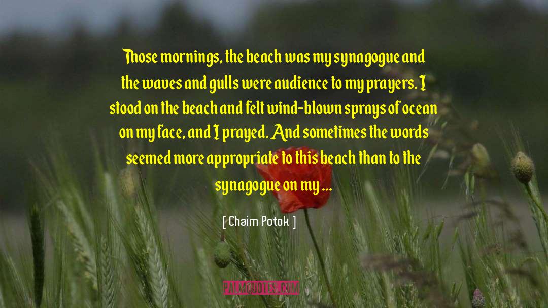 Beach Bunnies quotes by Chaim Potok