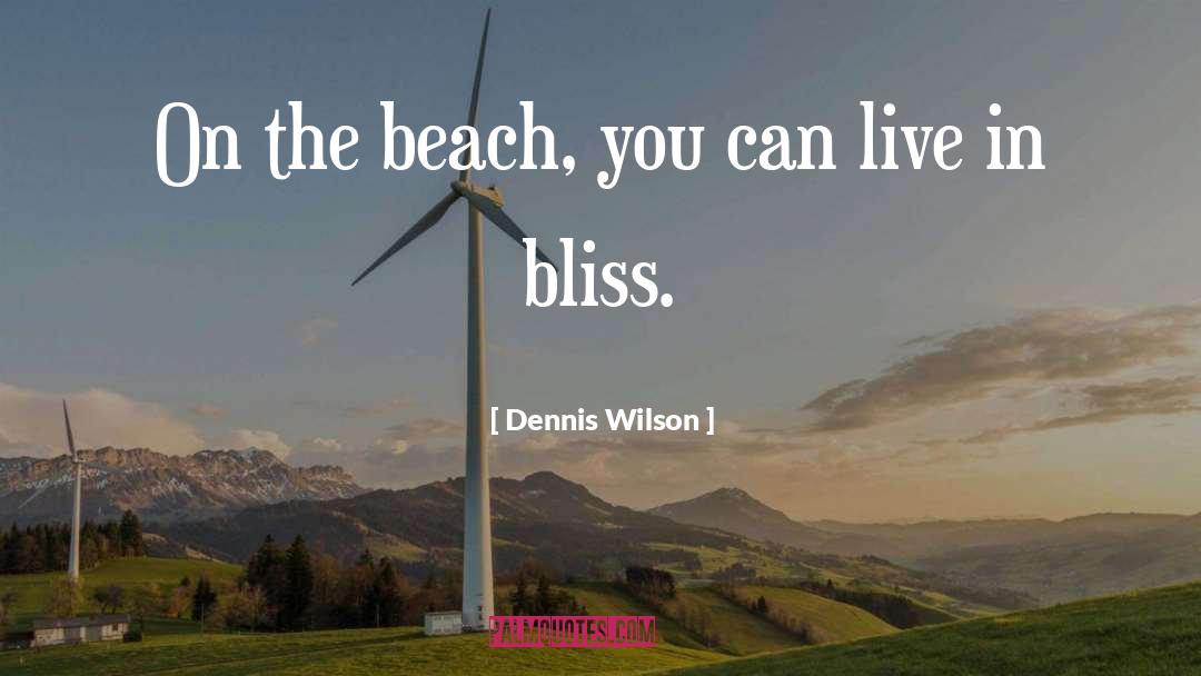 Beach Ocean quotes by Dennis Wilson