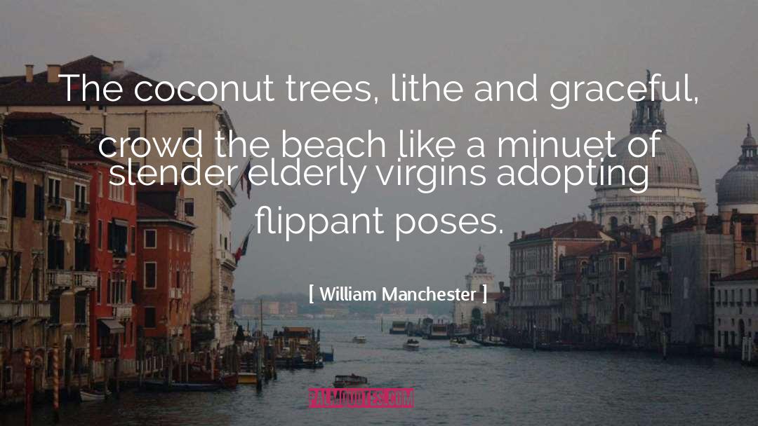 Beach Ocean quotes by William Manchester