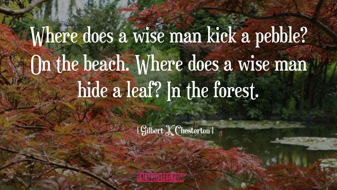 Beach Ocean quotes by Gilbert K. Chesterton