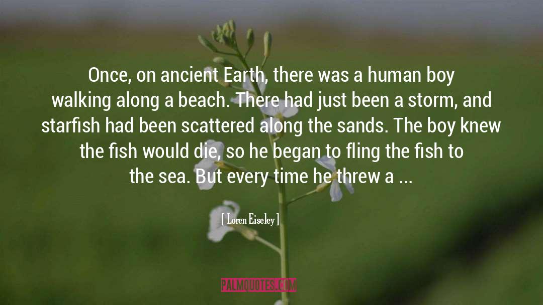 Beach quotes by Loren Eiseley