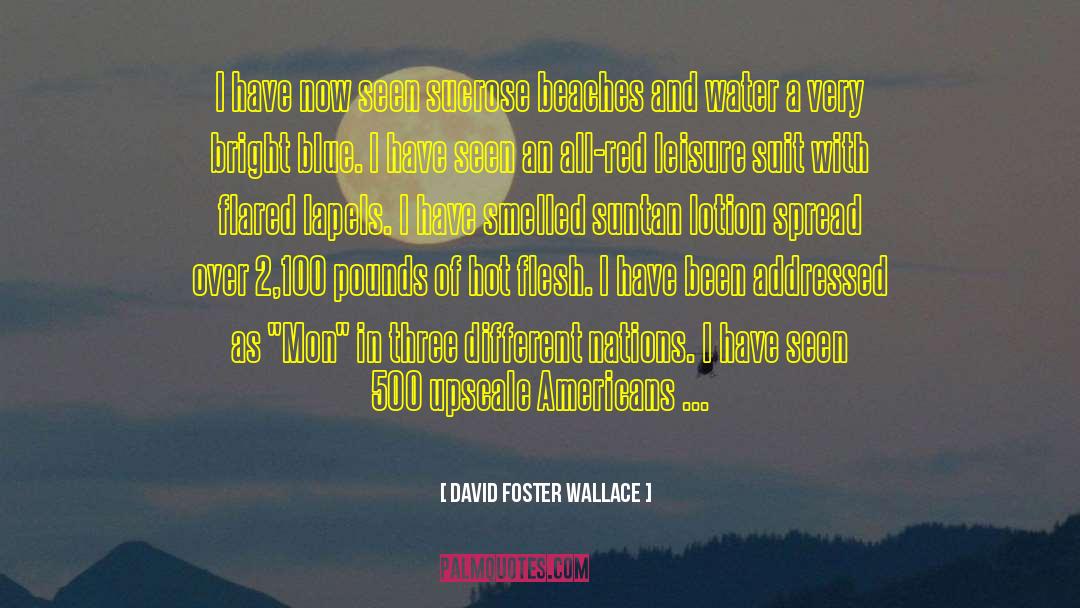 Beach Umbrella quotes by David Foster Wallace